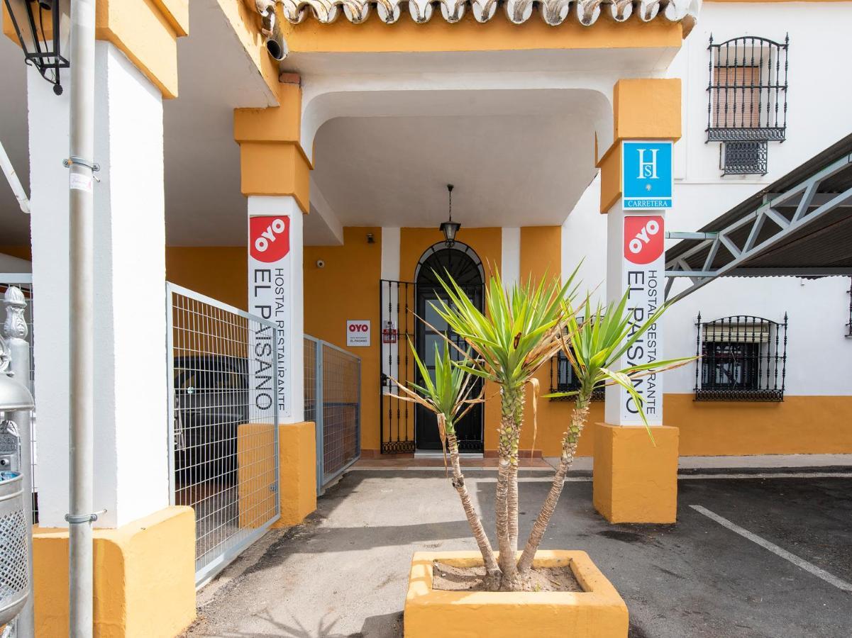 Oyo Hostal El Paisano Utrera Dış mekan fotoğraf