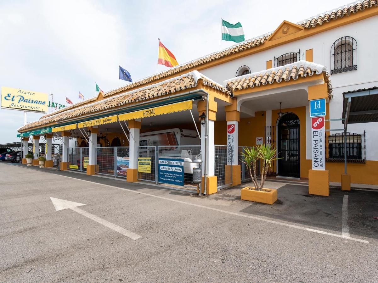 Oyo Hostal El Paisano Utrera Dış mekan fotoğraf
